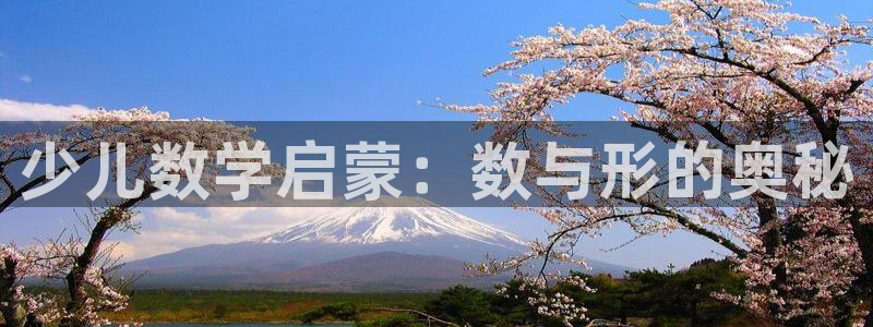 必一运动体育官网下载