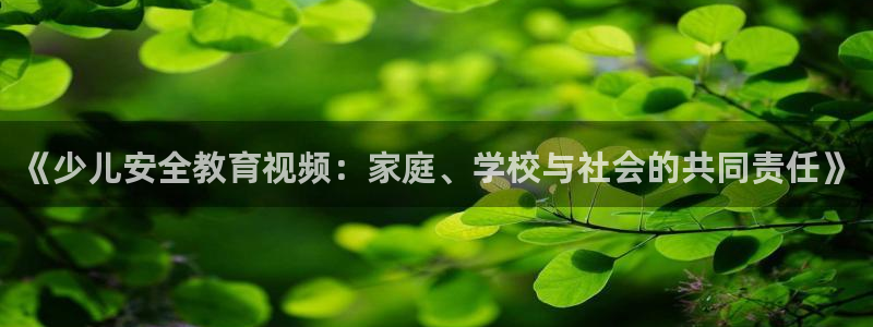 必一体育是哪里的台子