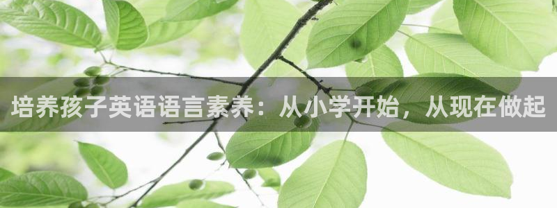 必一体育运动下载