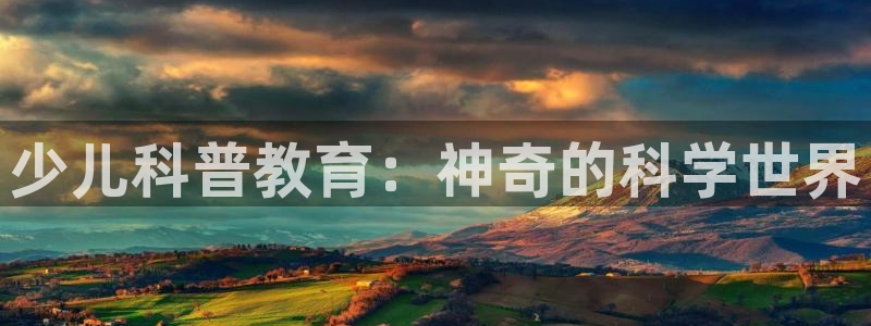 必一体育sport