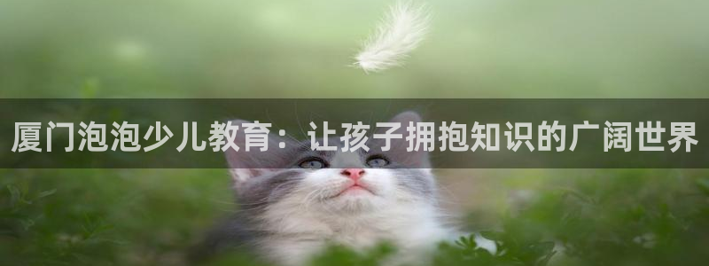 必一体育下载意思