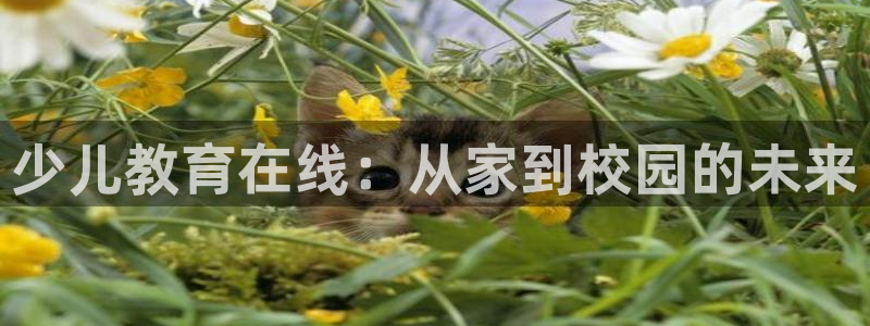 必一体育皮尔斯