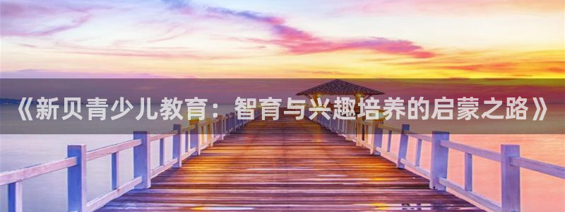 必一体育网站