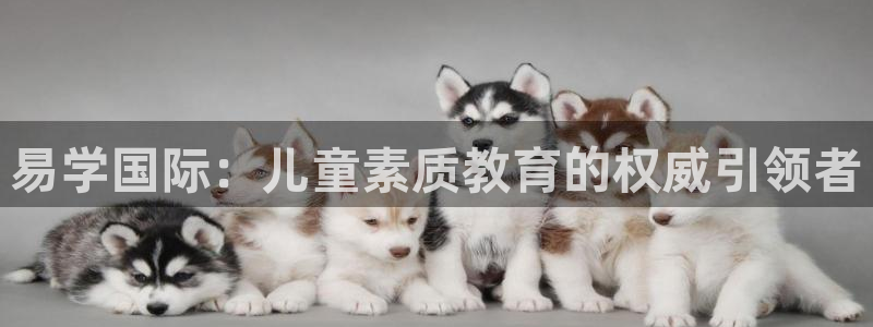 必一体育登录入口