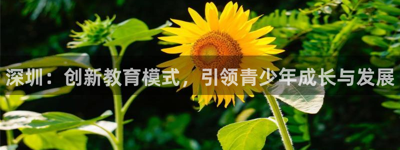 必一体育登入