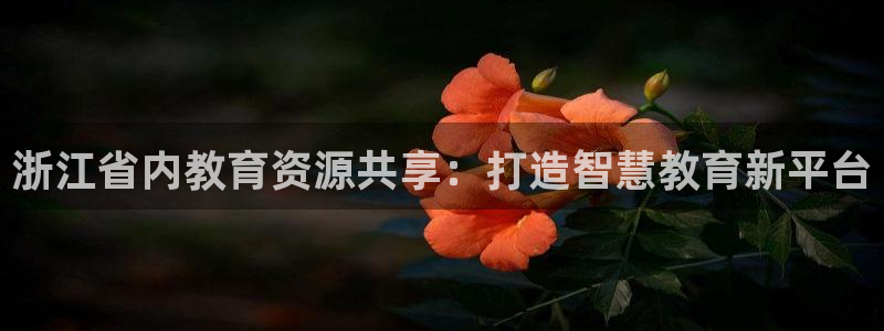 必一体育官方app下载