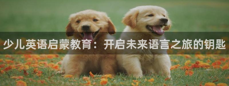 必一体育服下载最新版本更新内容