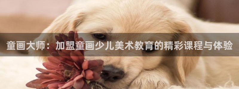必一体育app官方网站