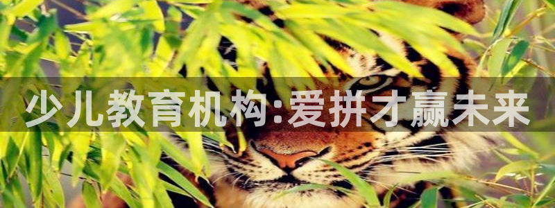 必一体育在线登录