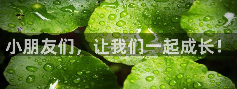 必一体育网页登录版官网