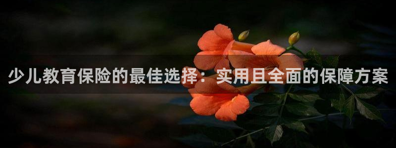 必一体育APP下载安装