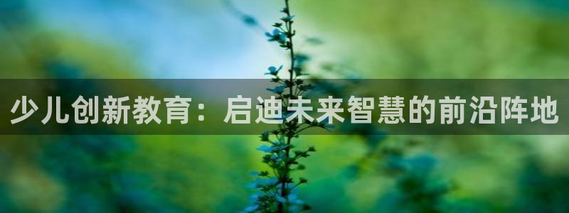 必一体育在哪下