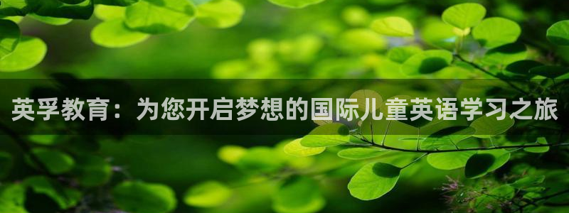必一体育sport网页版