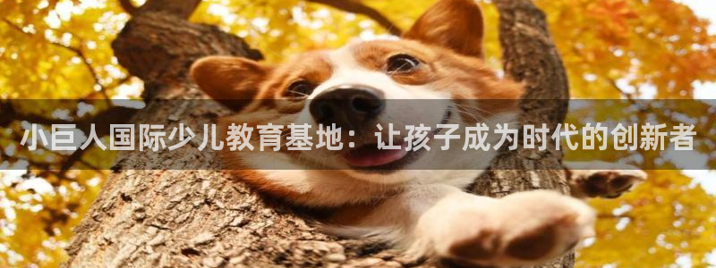 必一体育下载入口