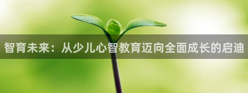 必一体育APP下载安装