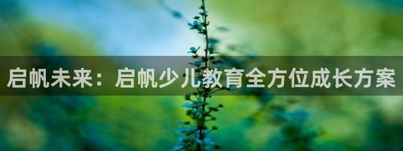 必一体育最新官网入口首页