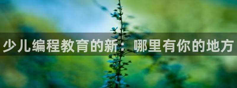 必一体育APP下载安装