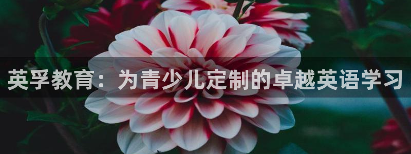 必一运动 b 体育素描版