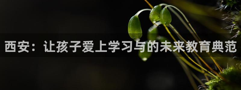 必一体育在线入口