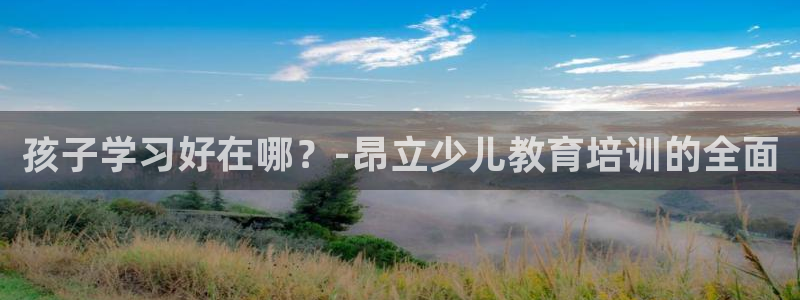 必一体育是啥