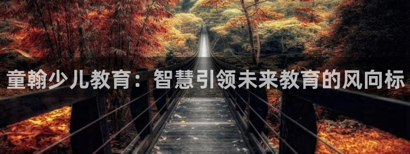 必一体育bsport下载