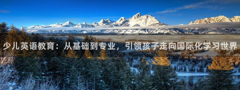 必一体育在线官网