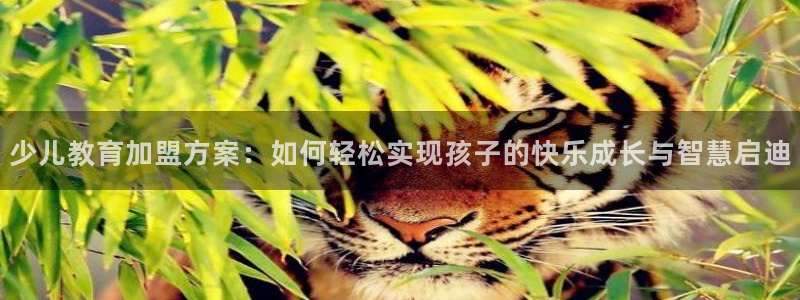 必一体育sportB体育
