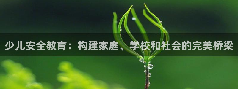 Bsport体育app必一