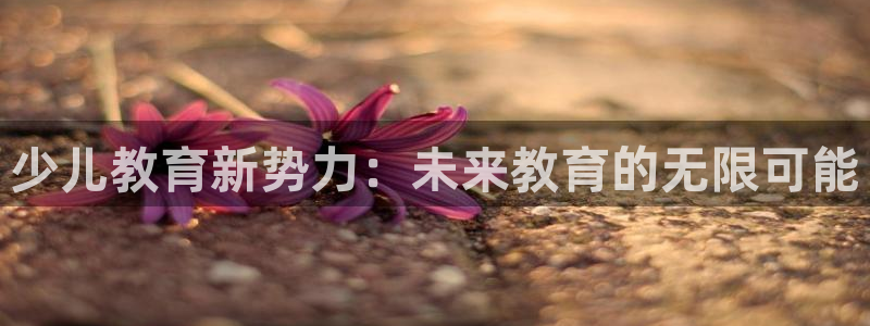 必一体育app官方正版下载