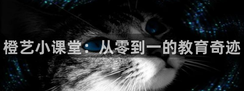 必一体育在线下载