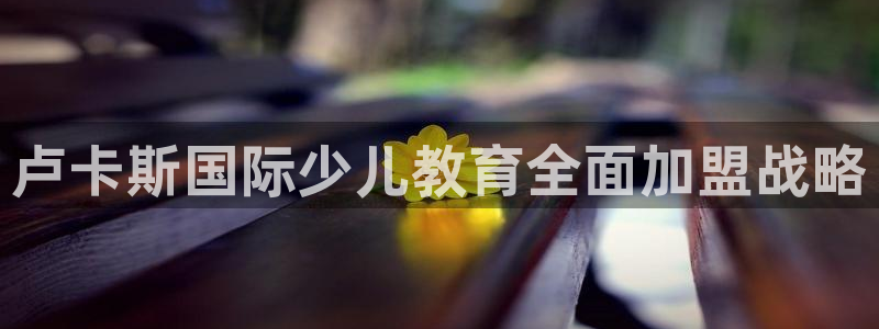 必一体育网页版登录