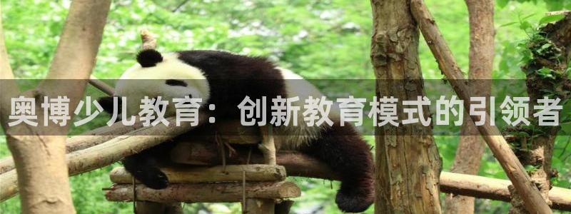 必一体育是啥