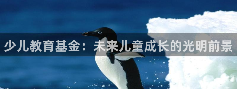 必一体育手机下载
