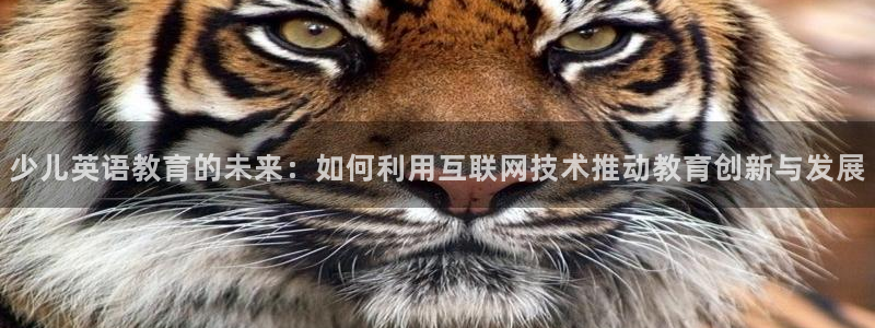 必一运动官网装机吧