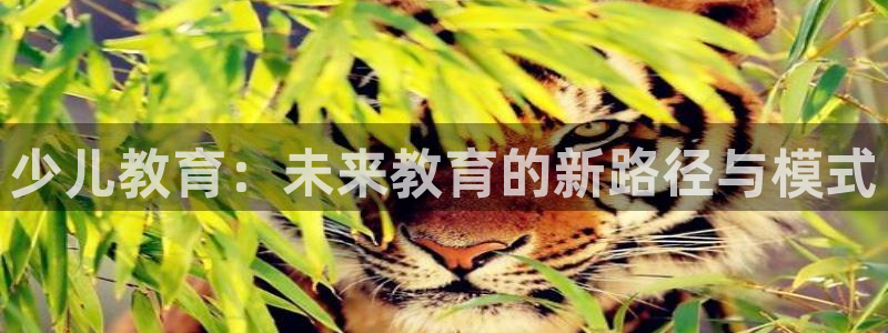 必一运动体