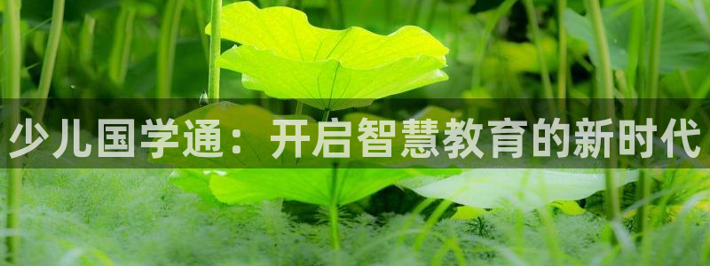 必一体育运动平台官网