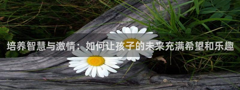 必一体育app官方