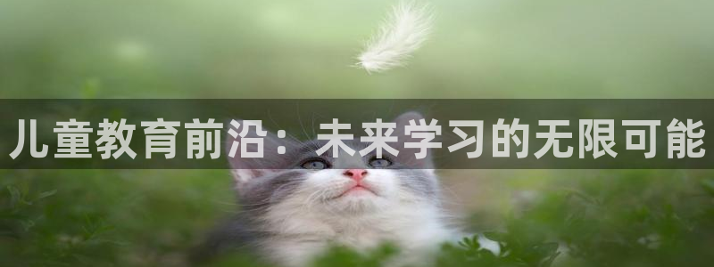 必一体育sport