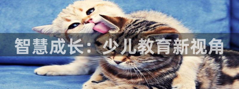 必一体育下载app下载