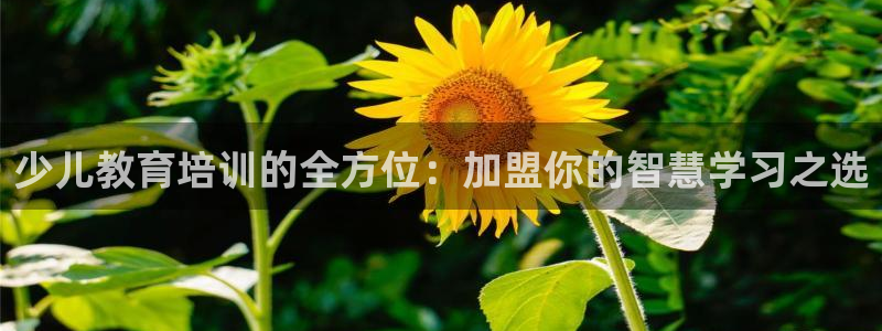 必一运动体育官网
