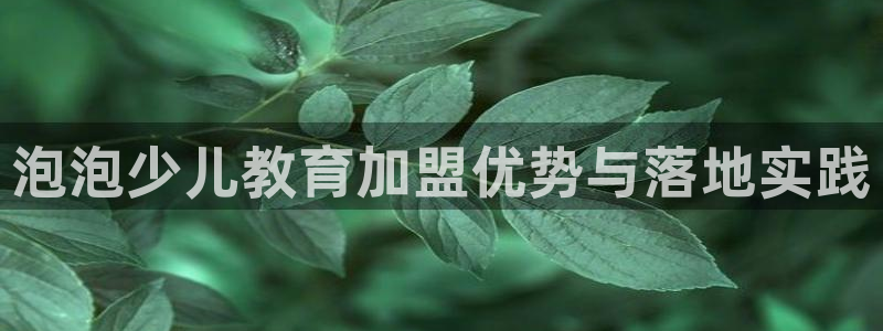 必一运动体育官网下载