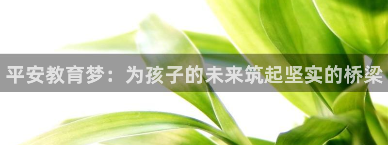 必一体育下载登入