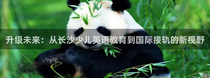 必一体育运动平台官网