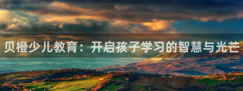 必一体育运动app下载