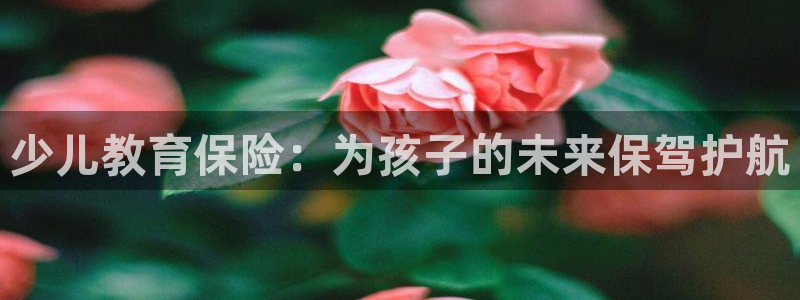 必一体育是啥