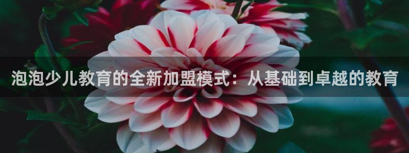 必一运动官网装机吧