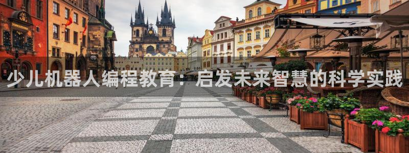 必十二和必一的副作用