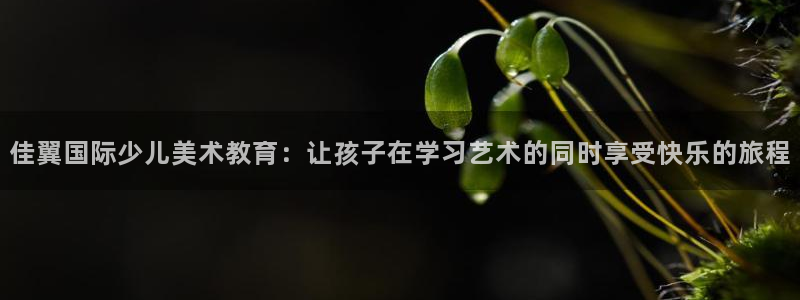 必一体育官方网站入口