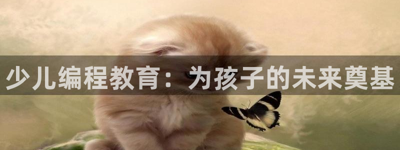 必一体育在线玩