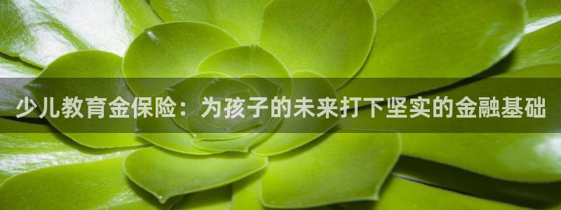 必一体育服下载最新版本更新内容